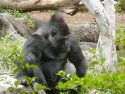 Resize of P21010081.JPG